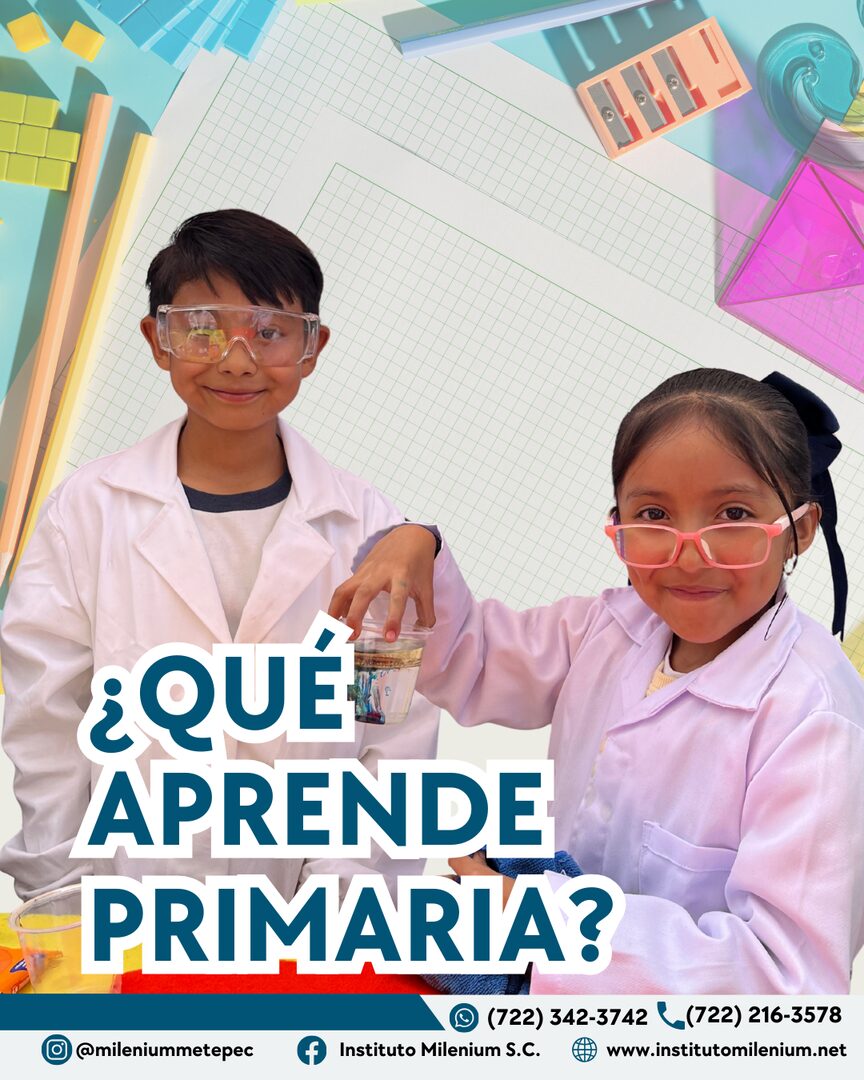 Que aprende tu hijo en Primaria en Instituto Milenium Metepec