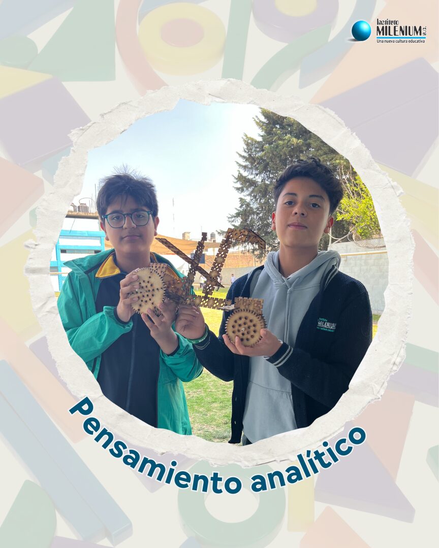 Pensamiento analitico en Instituto Milenium