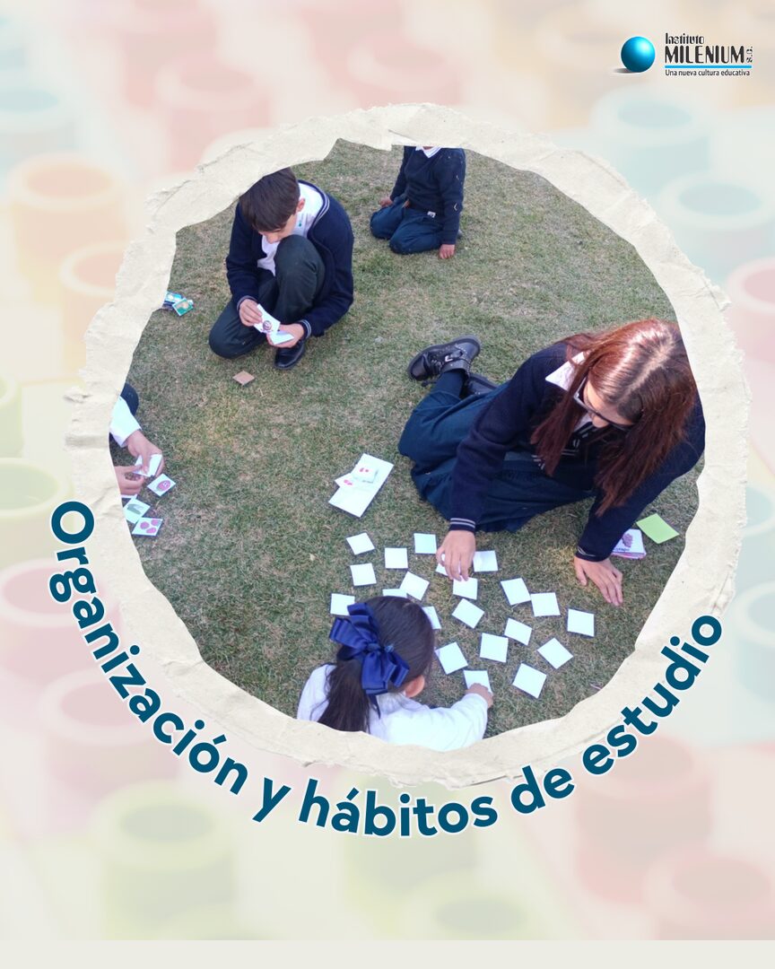 Organizacion y habitos de estudio en Instituto Milenium
